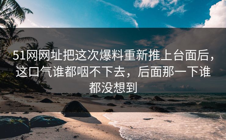 51网网址把这次爆料重新推上台面后，这口气谁都咽不下去，后面那一下谁都没想到