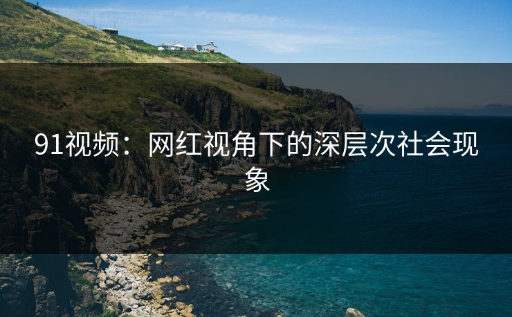 91视频：网红视角下的深层次社会现象