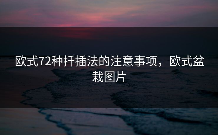 欧式72种扦插法的注意事项，欧式盆栽图片