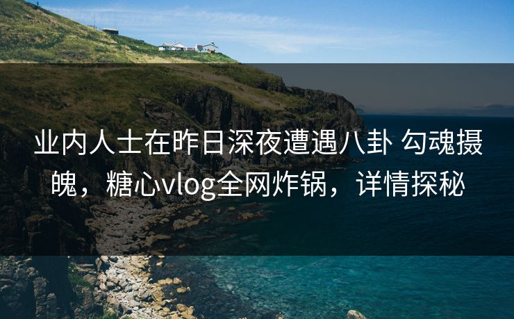 业内人士在昨日深夜遭遇八卦 勾魂摄魄，糖心vlog全网炸锅，详情探秘