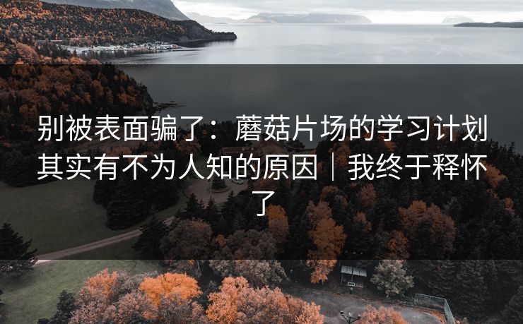 别被表面骗了：蘑菇片场的学习计划其实有不为人知的原因｜我终于释怀了