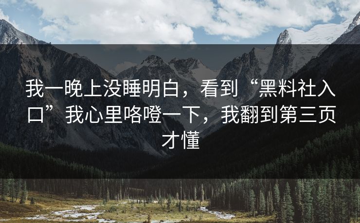 我一晚上没睡明白，看到“黑料社入口”我心里咯噔一下，我翻到第三页才懂